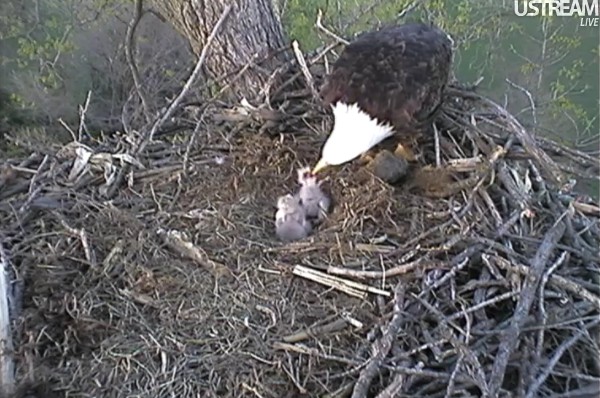 ScreenHunter_06 Mar. 29 20.17.jpg